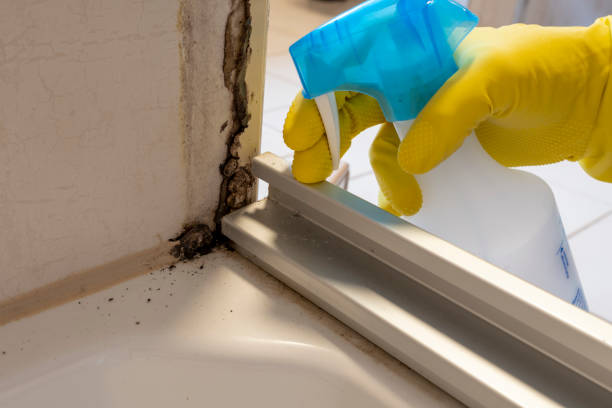 Best Commercial Mold Removal  in Strathmore, NJ