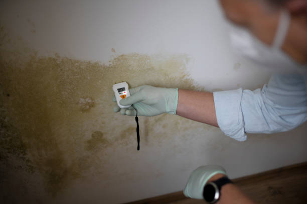 Best Residential Mold Removal  in Strathmore, NJ