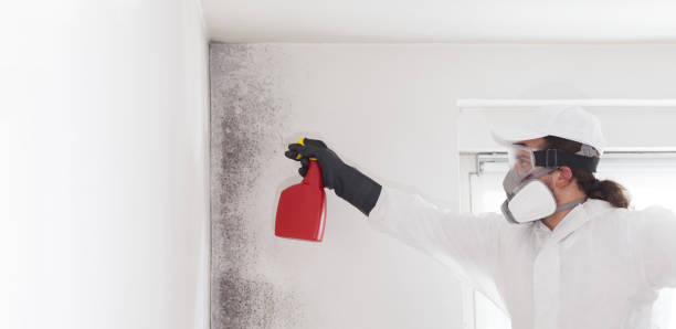 Best Crawl Space Mold Removal  in Strathmore, NJ